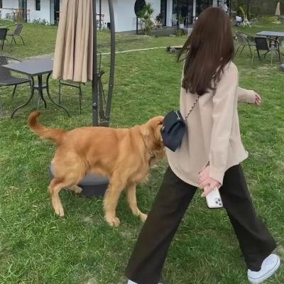 班尼的录影带
